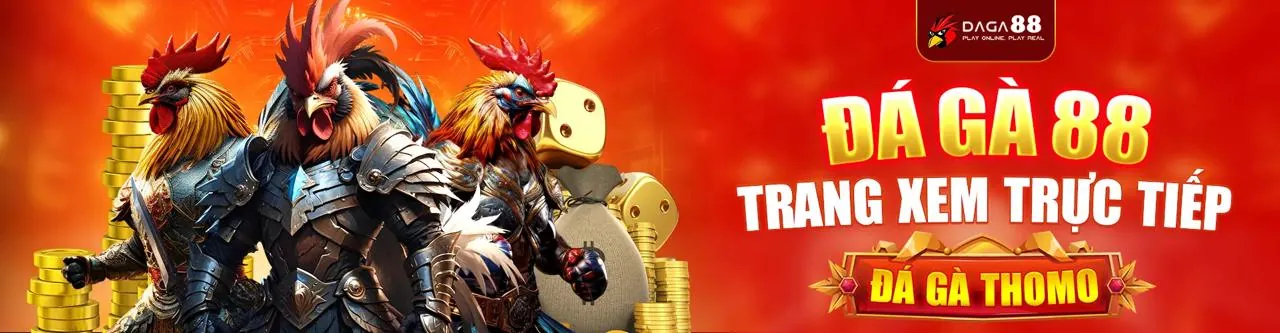 Trường gà trực tuyến tại 100win